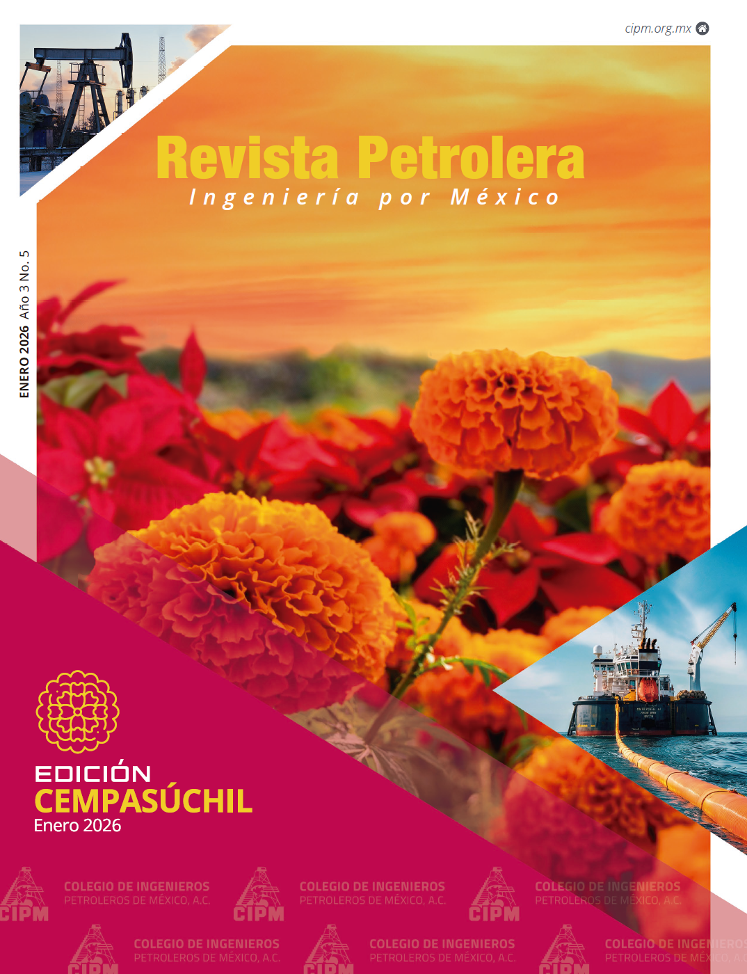 Texto Alterno Imagen