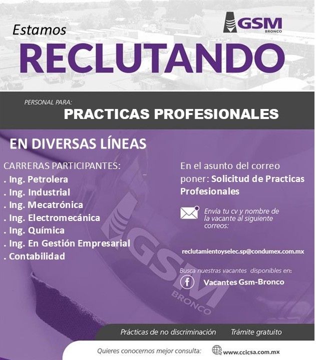 Prácticas profesionales