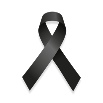 In Memoriam Peritos